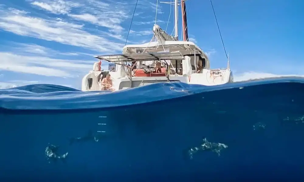 How Early Should I Book My Catamaran Trip 2