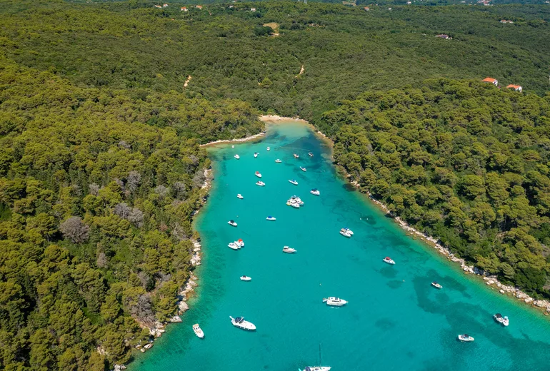 Aerial of a pine-fringed turquoise inlet with small anchored boats