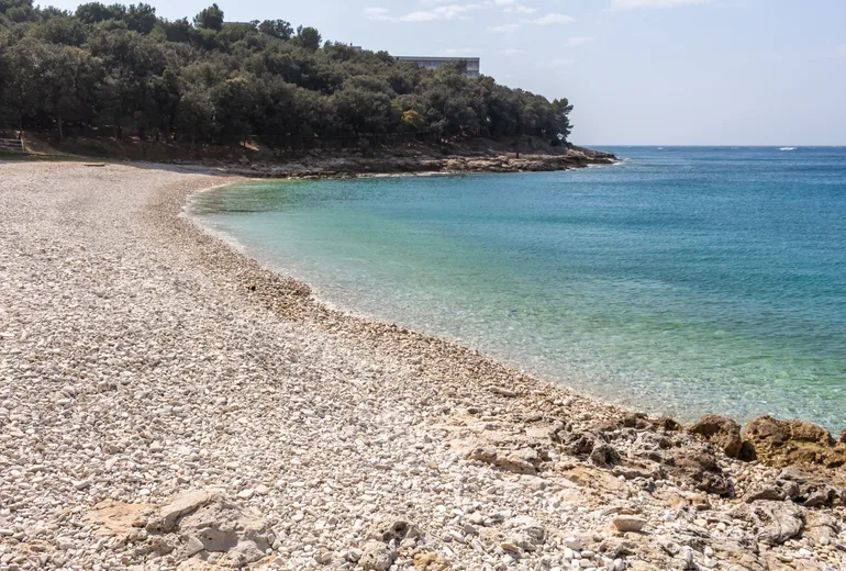 Empty white pebble beach backed by pines with clear turquoise water