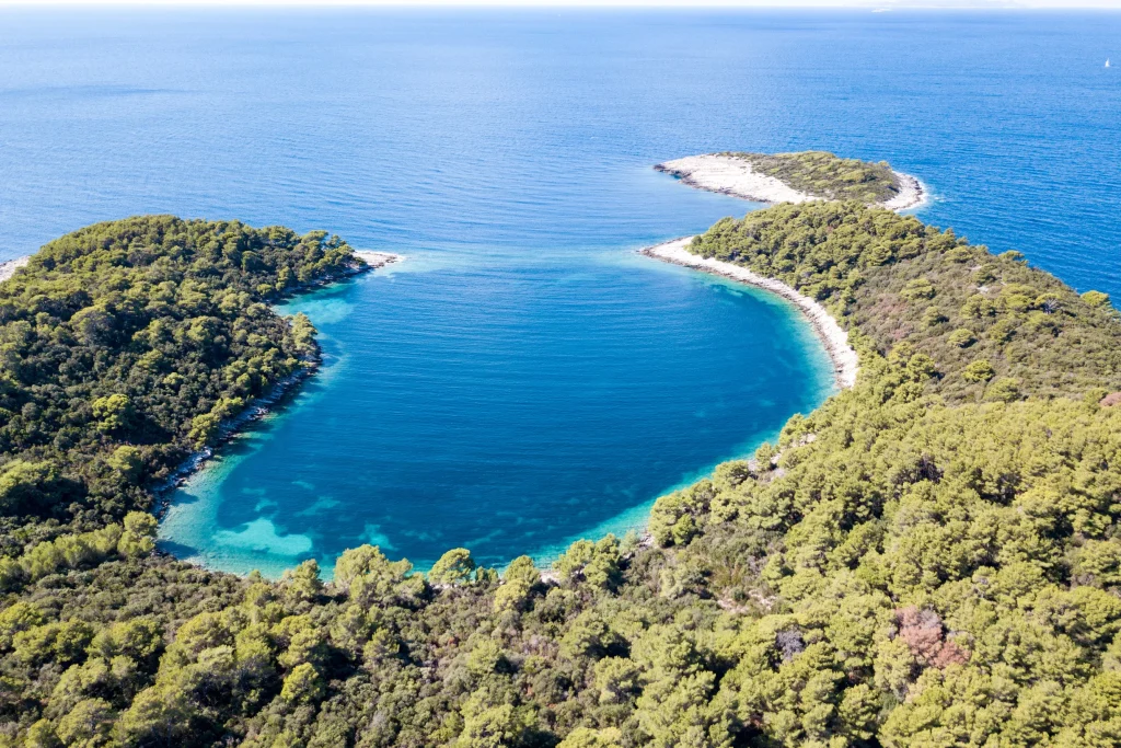Aerial of secluded horseshoe bay ringed by dense pine forest on island coast