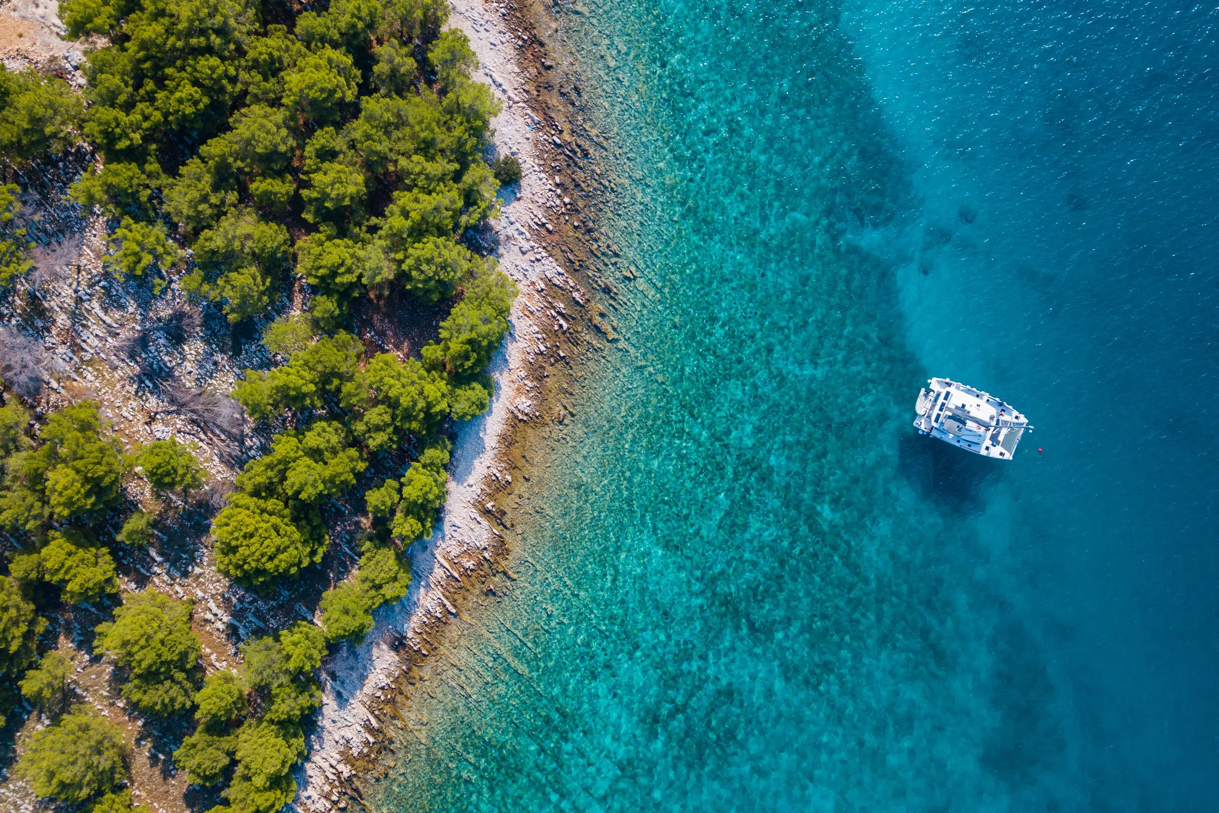 Top-down aerial of catamaran anchored beside pine-covered rocky shore in clear turquoise