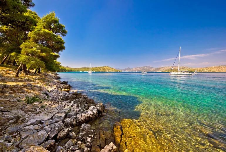 Pine-shaded rocky shore with sailboats anchored in a quiet turquoise Croatian bay