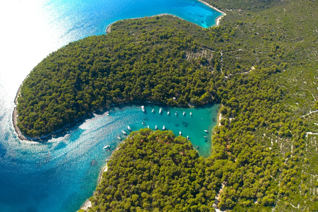 Aerial of winding pine-forested bay with sailboats moored in line