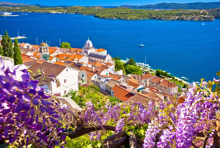 Sibenik old town and the dome of St James Cathedral behind purple wisteria blossoms