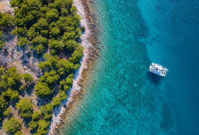 Top-down aerial of a catamaran anchored beside a pine-covered rocky shore in clear turquoise water