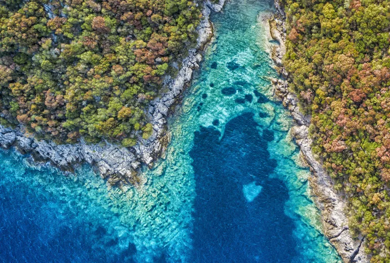 Top-down aerial of a rocky pine-covered coastline meeting turquoise and deep blue sea