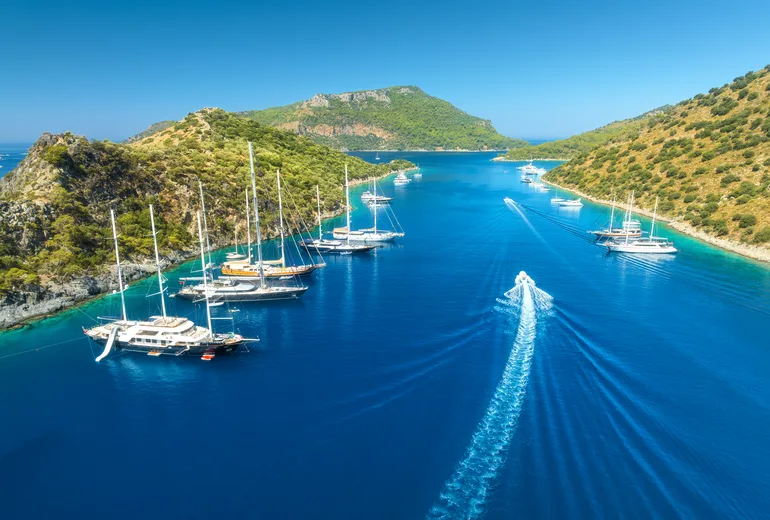 Yachts and gulets anchored in a pine-lined bay on the Turkish coast